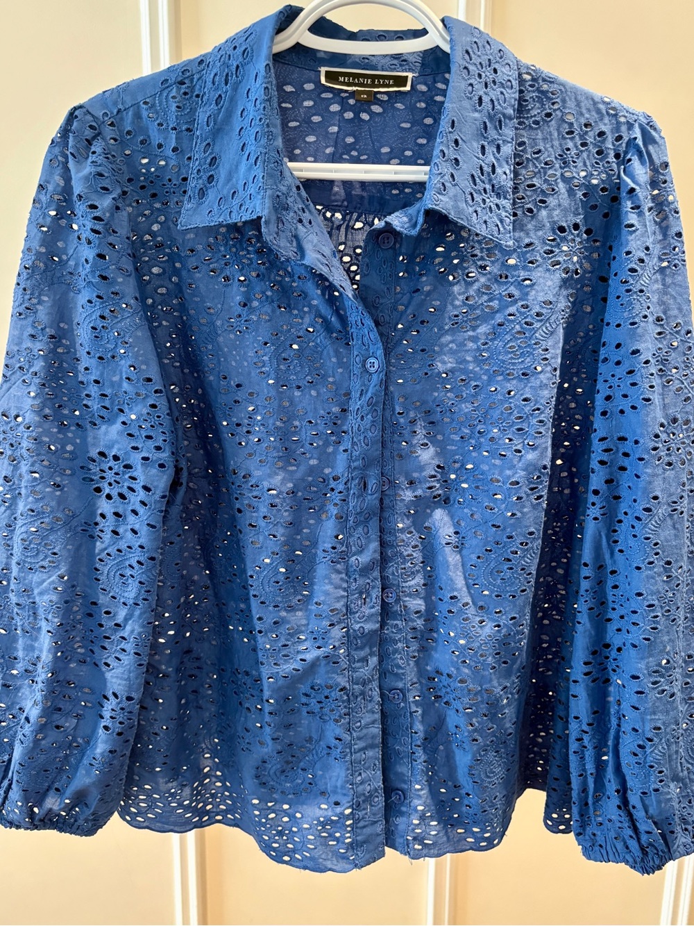 Blue Eyelet Button-Front Blouse with Classic Collar